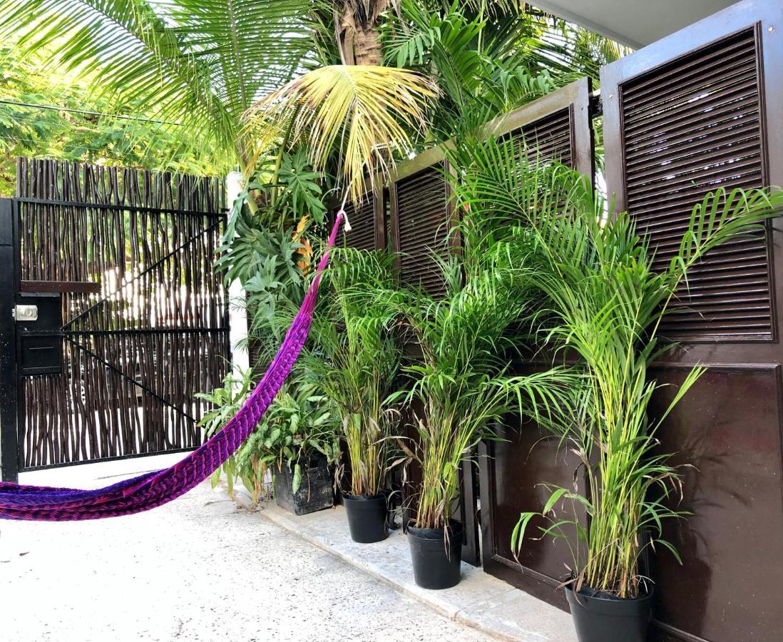 فندق Casa Tropical كانكون المظهر الخارجي الصورة