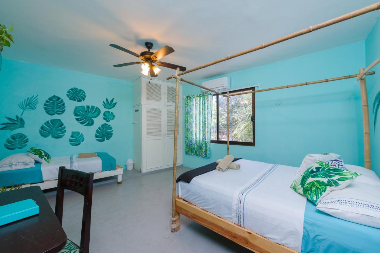 فندق Casa Tropical كانكون المظهر الخارجي الصورة